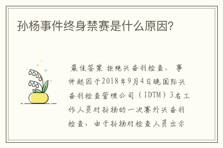 孙杨事件终身禁赛是什么原因?
