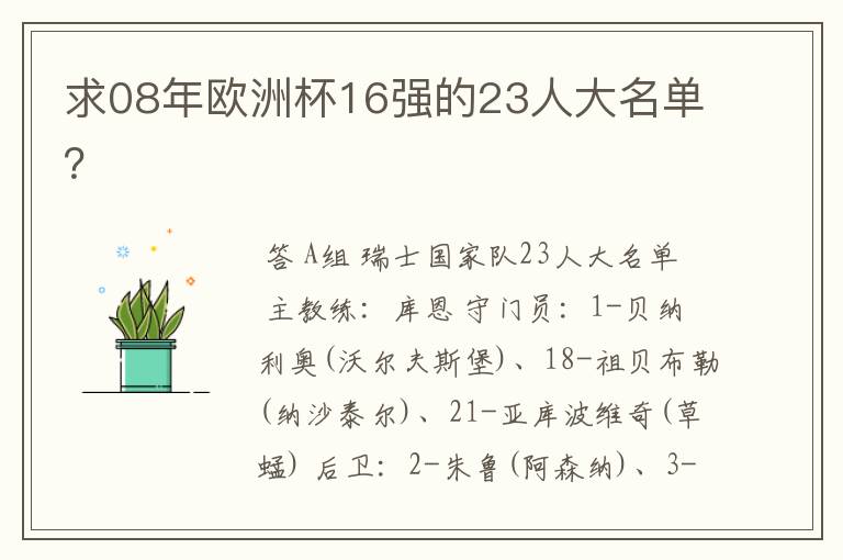 求08年欧洲杯16强的23人大名单?