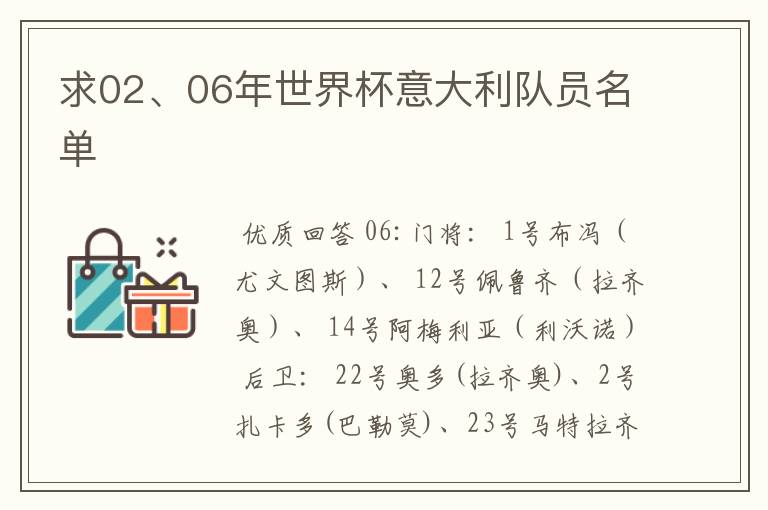 求02、06年世界杯意大利队员名单