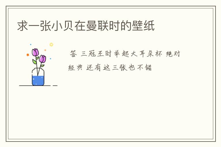 求一张小贝在曼联时的壁纸