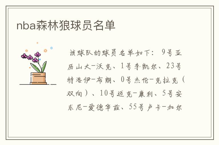 nba森林狼球员名单