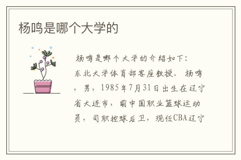 杨鸣是哪个大学的