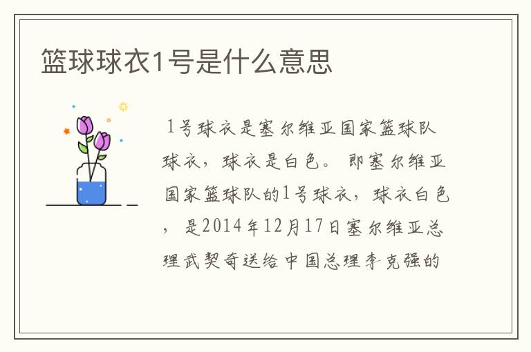 篮球球衣1号是什么意思