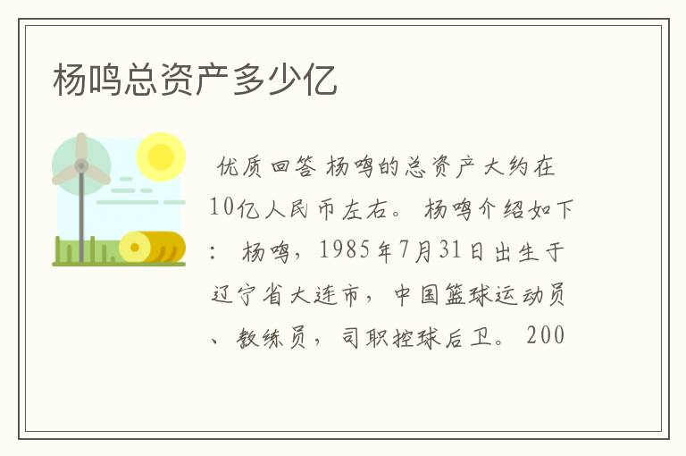 杨鸣总资产多少亿