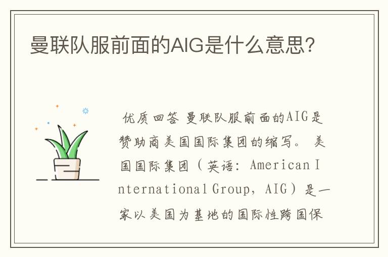 曼联队服前面的AIG是什么意思?