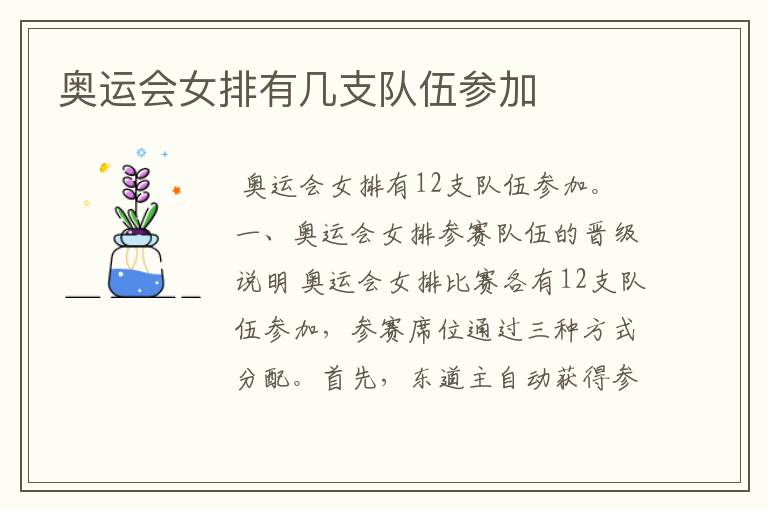 奥运会女排有几支队伍参加