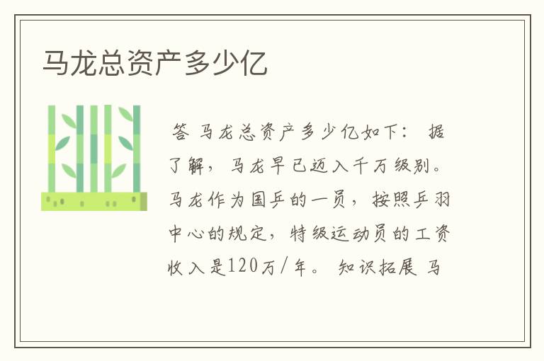 马龙总资产多少亿