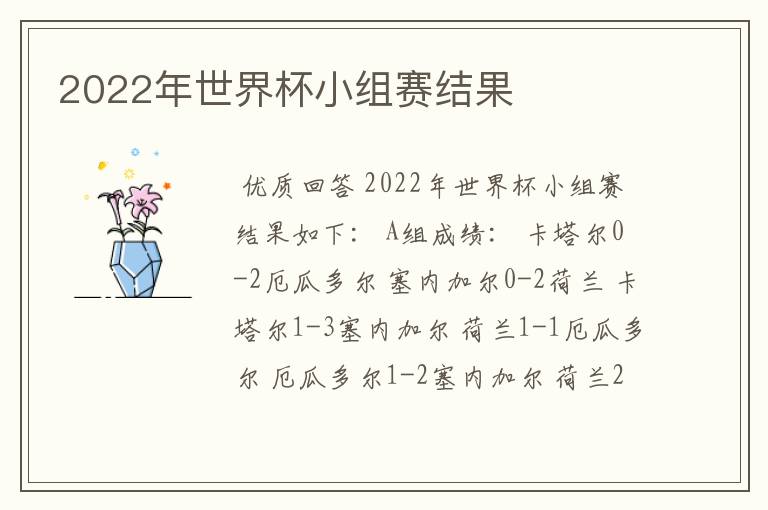 2022年世界杯小组赛结果