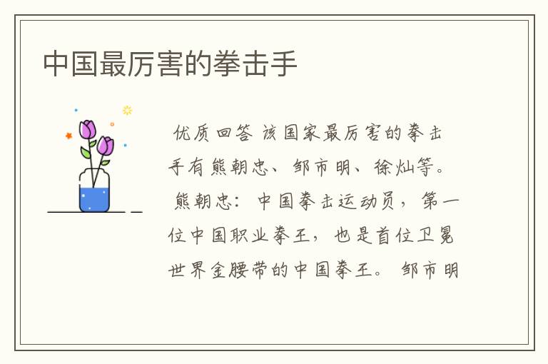 中国最厉害的拳击手