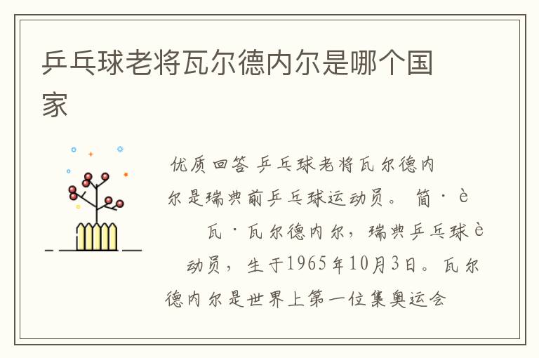 乒乓球老将瓦尔德内尔是哪个国家