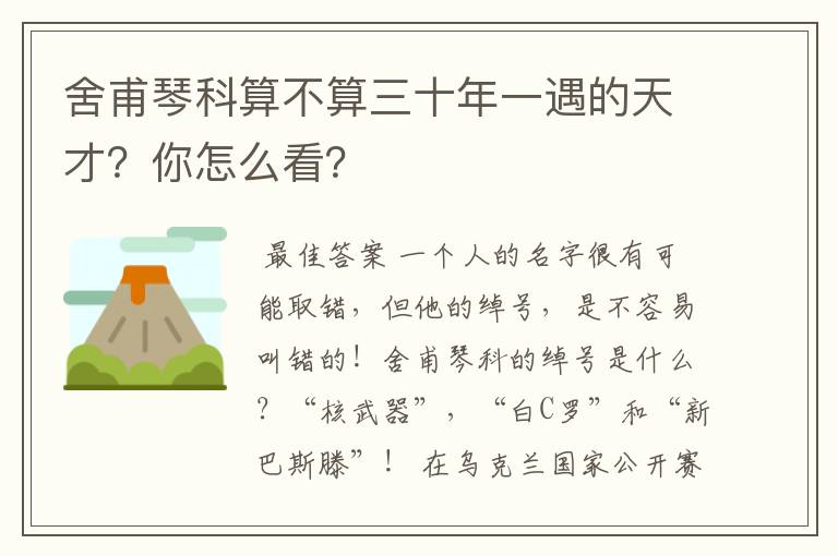 舍甫琴科算不算三十年一遇的天才?你怎么看?