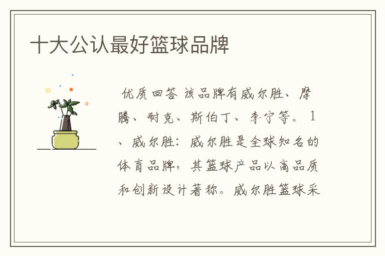 十大公认最好篮球品牌