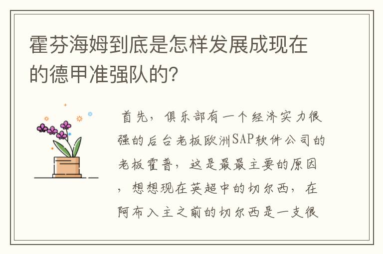 霍芬海姆到底是怎样发展成现在的德甲准强队的?