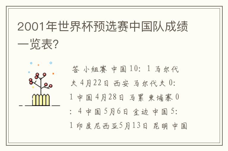2001年世界杯预选赛中国队成绩一览表?
