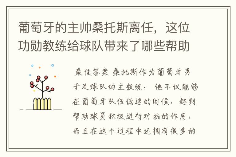 葡萄牙的主帅桑托斯离任,这位功勋教练给球队带来了哪些帮助?