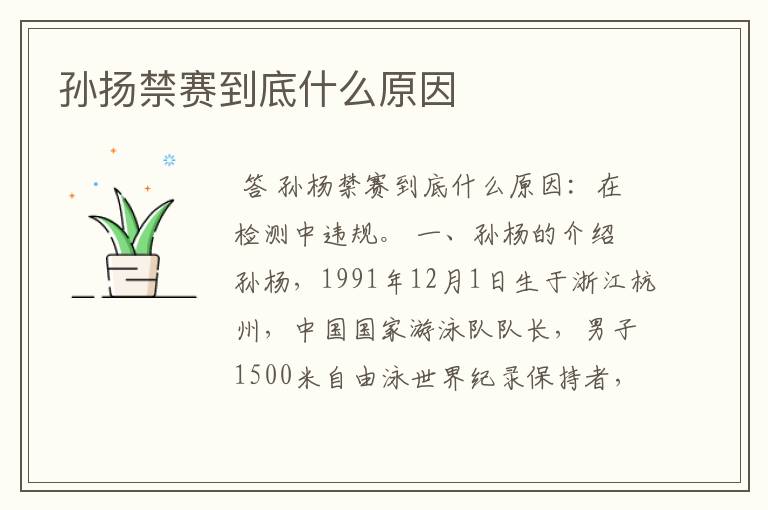 孙扬禁赛到底什么原因