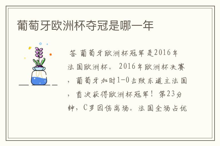葡萄牙欧洲杯夺冠是哪一年