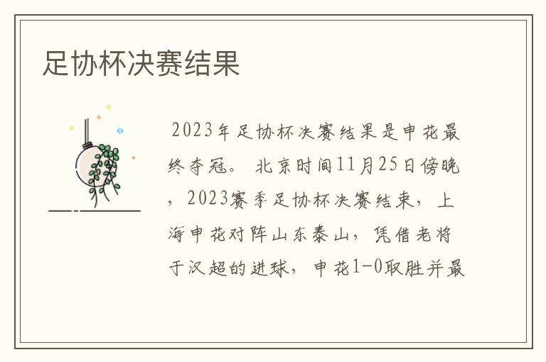 足协杯决赛结果