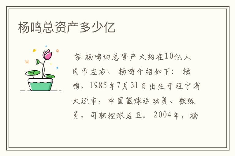 杨鸣总资产多少亿