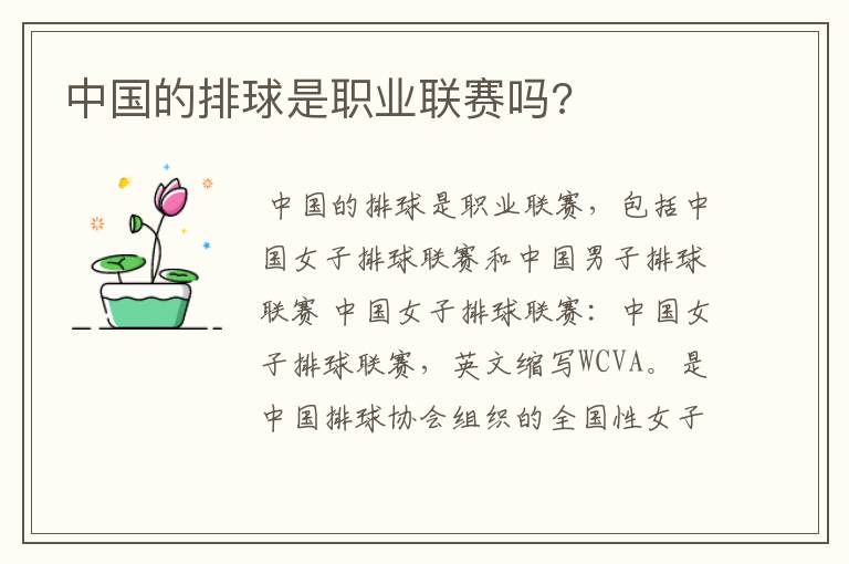 中国的排球是职业联赛吗?