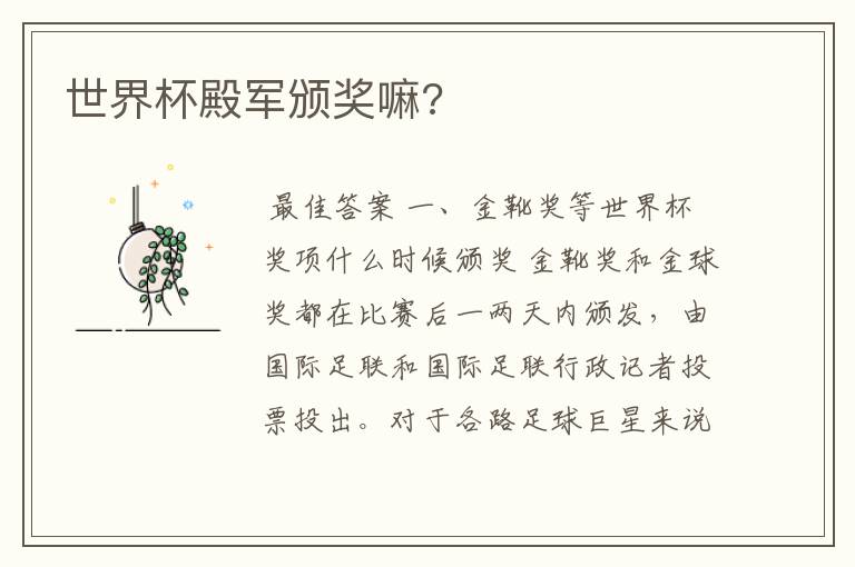 世界杯殿军颁奖嘛?