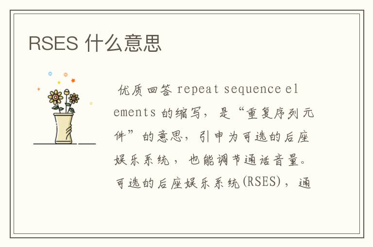 RSES 什么意思