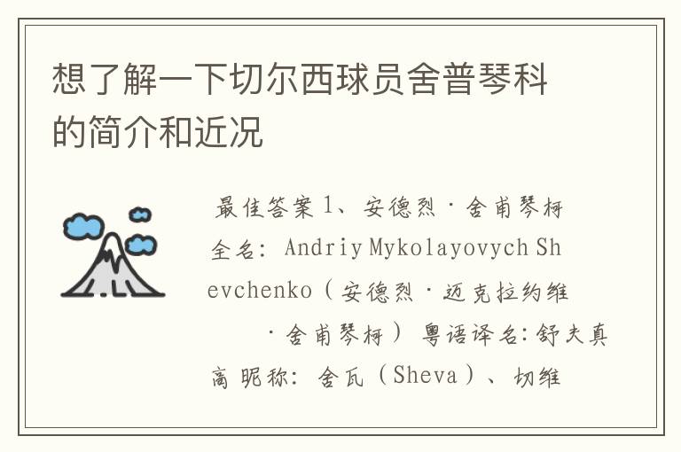 想了解一下切尔西球员舍普琴科的简介和近况