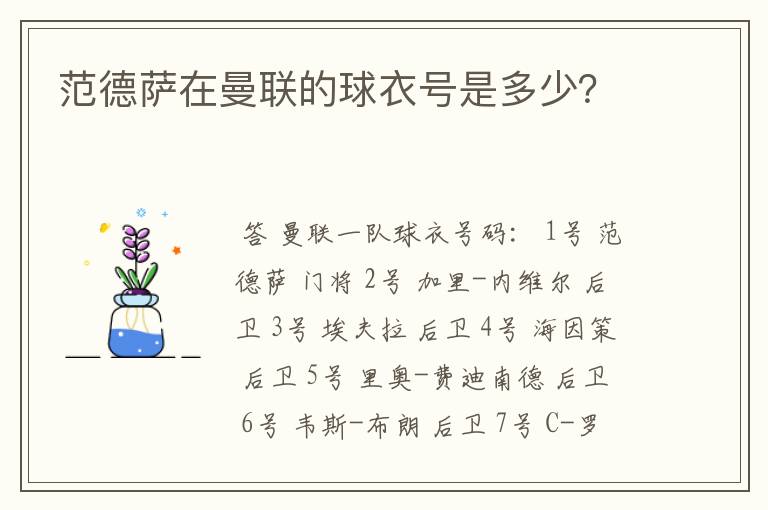 范德萨在曼联的球衣号是多少?