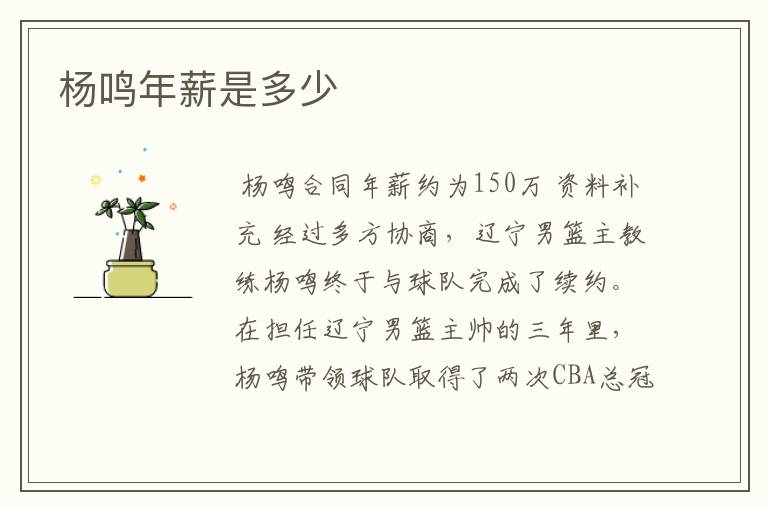 杨鸣年薪是多少
