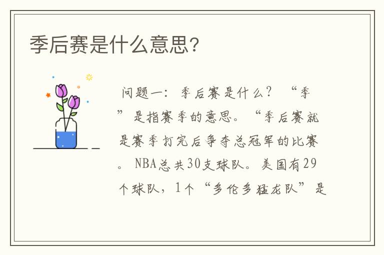季后赛是什么意思?