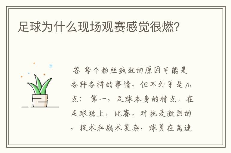 足球为什么现场观赛感觉很燃？