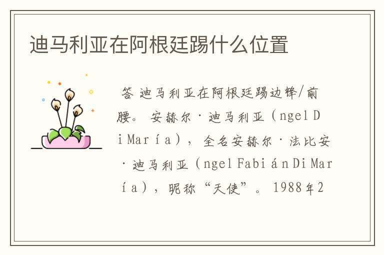 迪马利亚在阿根廷踢什么位置