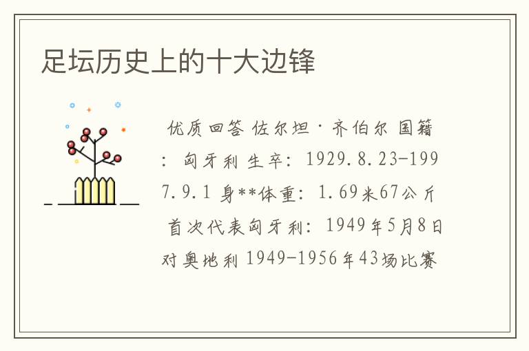 足坛历史上的十大边锋