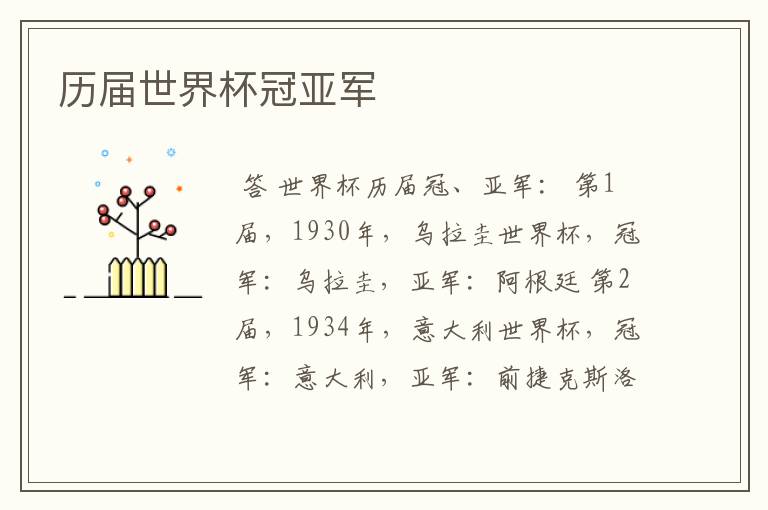 历届世界杯冠亚军