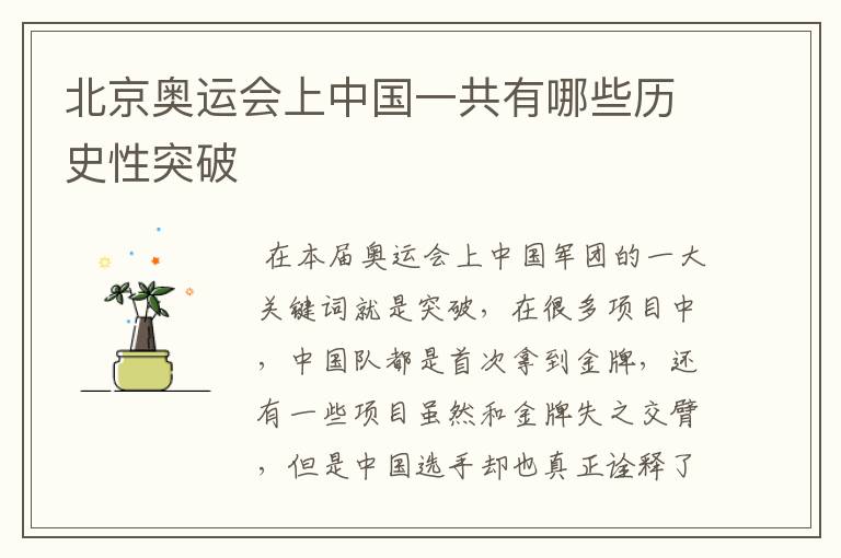 北京奥运会上中国一共有哪些历史性突破