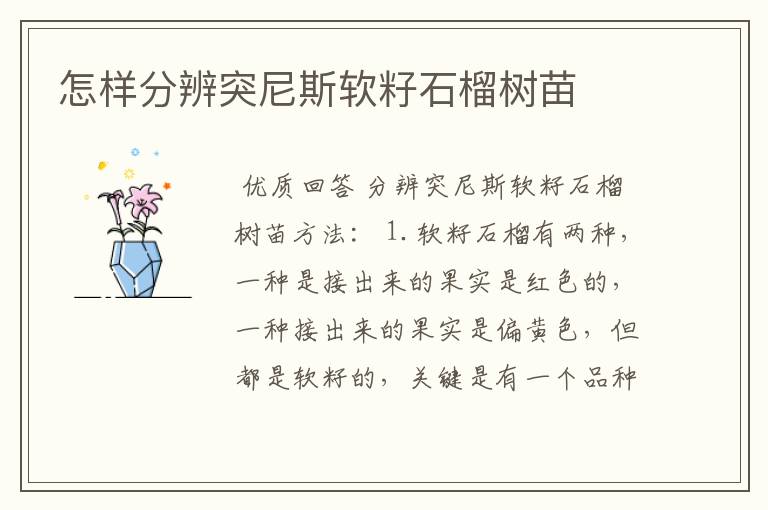 怎样分辨突尼斯软籽石榴树苗
