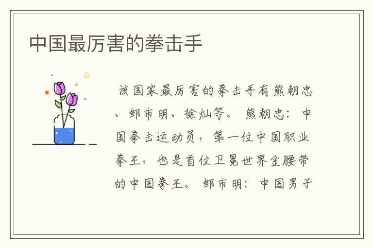中国最厉害的拳击手