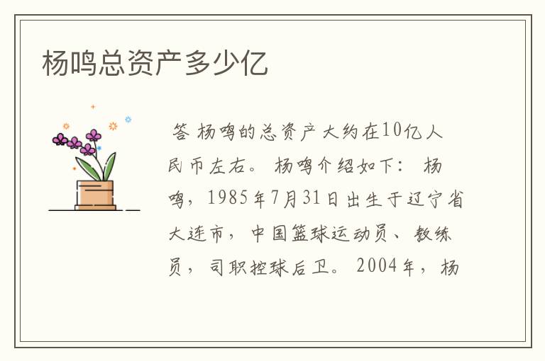 杨鸣总资产多少亿