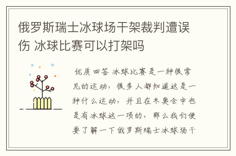俄罗斯瑞士冰球场干架裁判遭误伤 冰球比赛可以打架吗