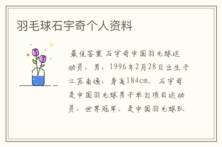 羽毛球石宇奇个人资料
