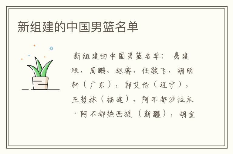 新组建的中国男篮名单