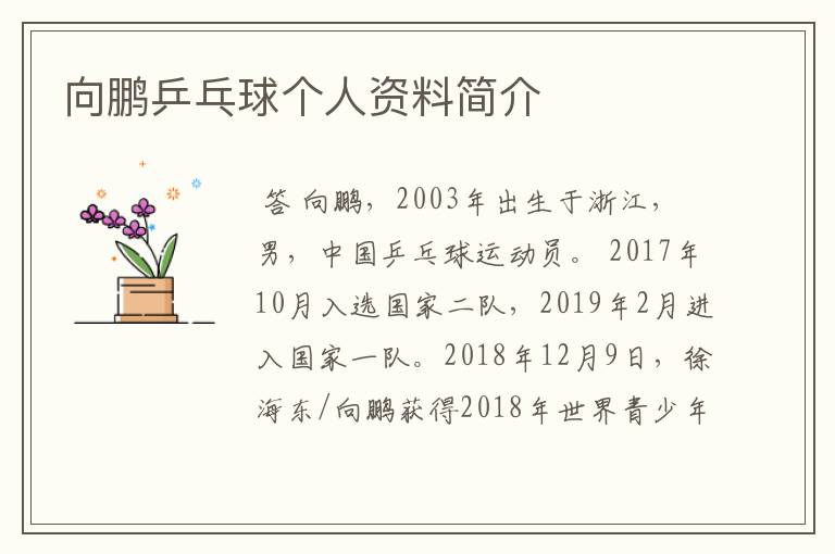 向鹏乒乓球个人资料简介