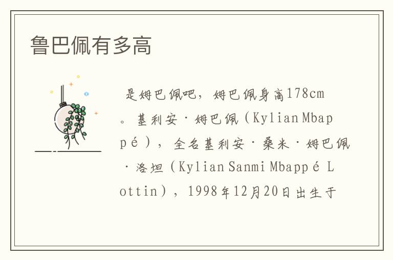 鲁巴佩有多高