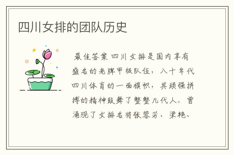 四川女排的团队历史