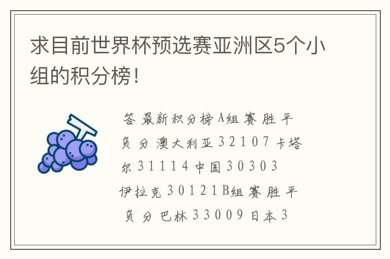 求目前世界杯预选赛亚洲区5个小组的积分榜!