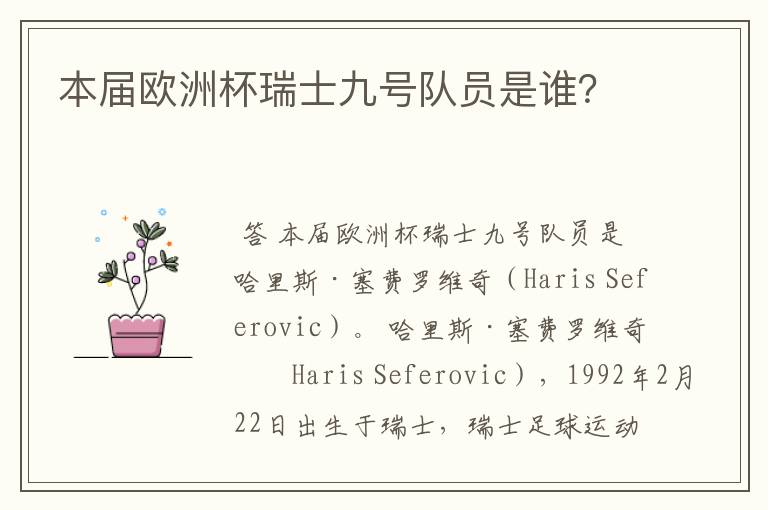 本届欧洲杯瑞士九号队员是谁?