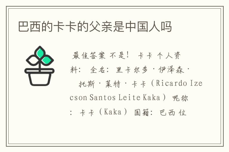 巴西的卡卡的父亲是中国人吗