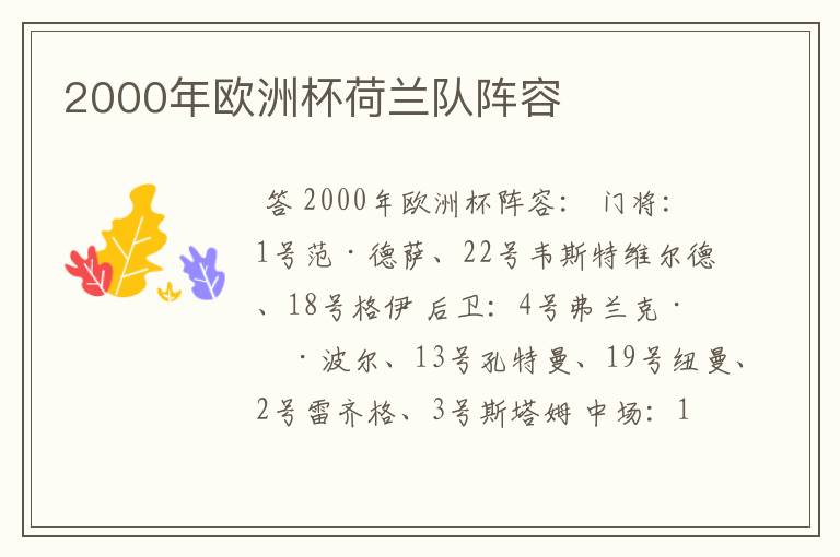 2000年欧洲杯荷兰队阵容