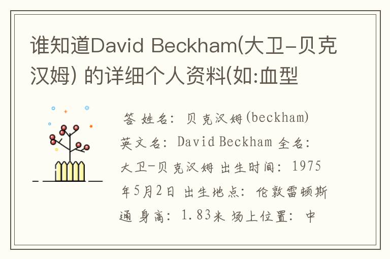 谁知道David Beckham(大卫-贝克汉姆) 的详细个人资料(如:血型 之类的)