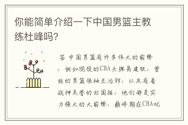 你能简单介绍一下中国男篮主教练杜峰吗?